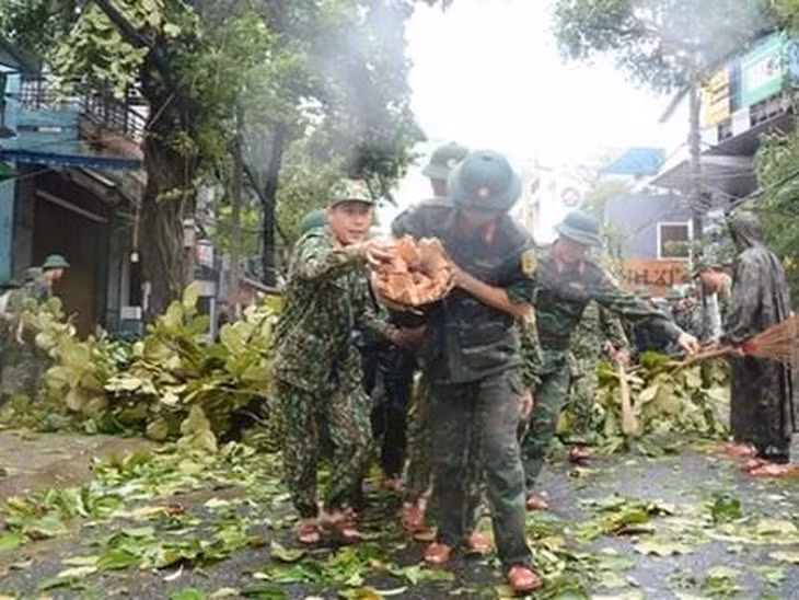 Typhoon Noru knocks down many trees in Da Nang city. (Photo: VNA)