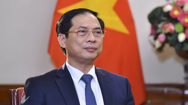 Minister of Foreign Affairs Bùi Thanh Sơn. — VNA/VNS Photo