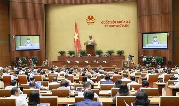 At the meeting (Photo: VNA)