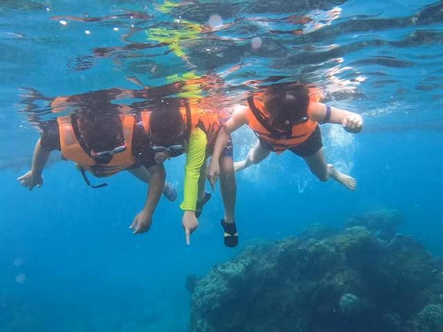 Snorkeling in coral reefs is an unforgettable experience in Phú Quý. VNS Photo Văn Châu