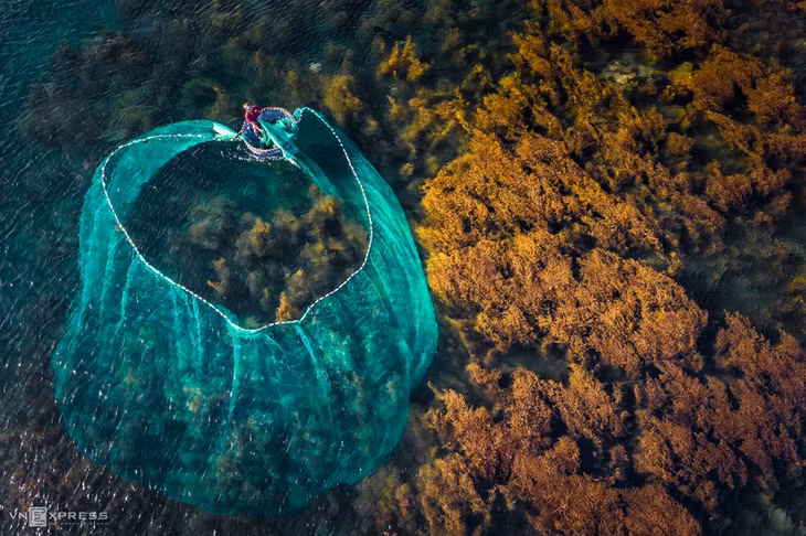 7 Quy Nhon summer travel experiences to enjoy from dawn till dusk ảnh 6 7 Quy Nhon summer travel experiences to enjoy from dawn till dusk