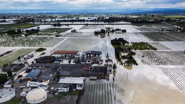 An aerial view shows a flooded pig farm and surrounding fields in the town of Lugo on May 18, 2023. — AFP/VNA Photo