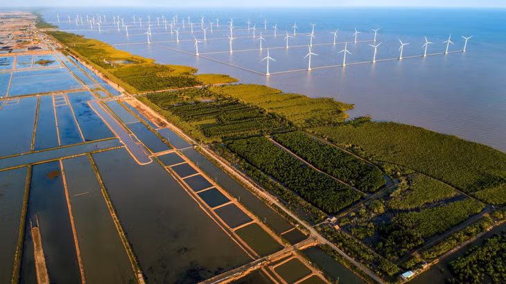 Climate change adaptation: Viet Nam is making concrete actions to go green ảnh 2 Climate change adaptation: Viet Nam is making concrete actions to go green ảnh 2