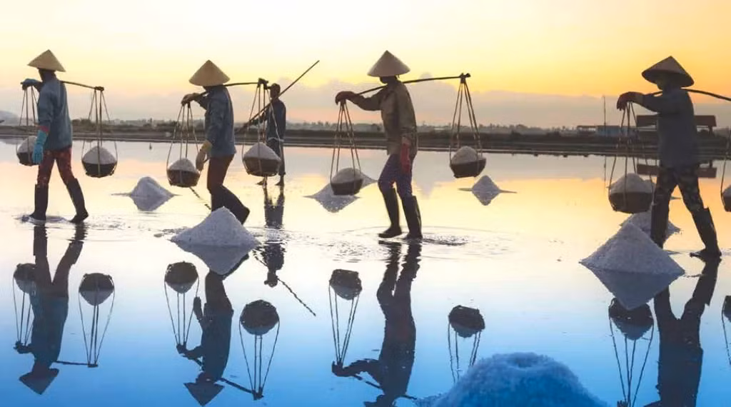 The harvest of salt in Sa Huỳnh, Quảng Ngãi. Photo Nguyễn Quang Vinh/sahu.vn