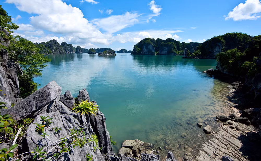 The clear blue water surface highlights the typical geological structure and topographic Karst terrain of Ha Long Bay.