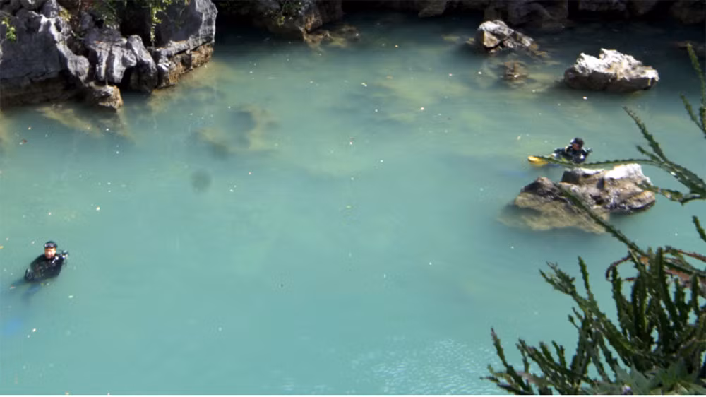This place is also a venue for scientists to study fish species, benthic animals, and animals in clumpy and conifers.