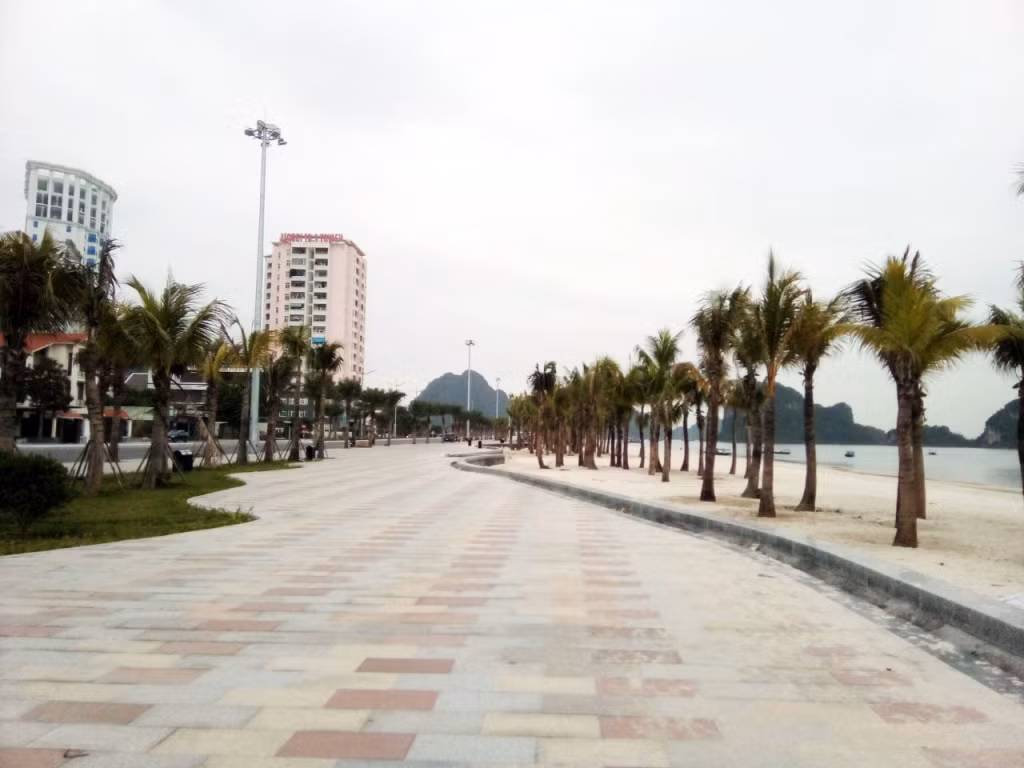 The pavement along the beach is 28m wide with shady trees.