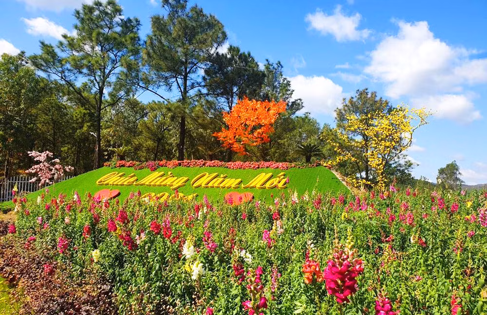 Flowers are in full bloom at the Flower Park around Yen Trung lake in Uong Bi city.