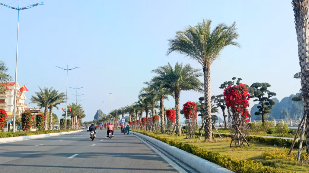Tran Quoc Nghien is considered the most beautiful coastal road in Ha Long city.