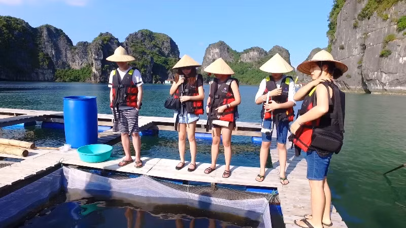 Tourists visit aquaculture farms at Vung Vieng area
