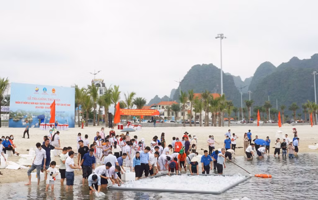 This activity is of great significance in habitat recovery and restoration in aquatic resources.