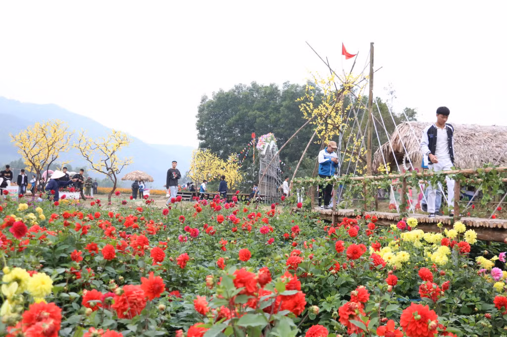 Flowers in the tourist area are in full bloom.