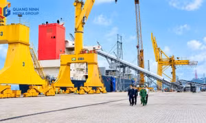 Hon Gai Port border guards collaborate with local authorities during a routine security and surveillance operation at Cai Lan Port.