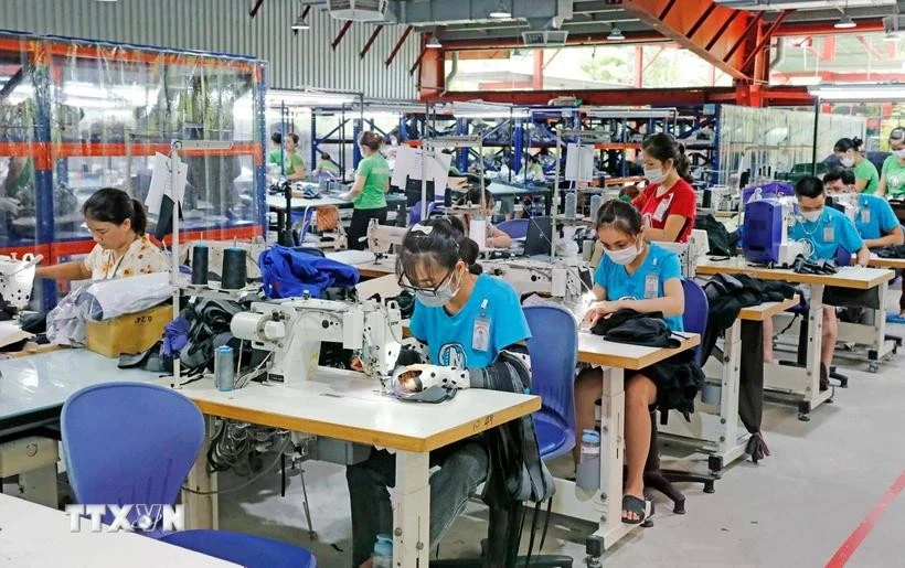 Garment industry contributes a lot to Vietnam's economic growth (Photo: VNA)