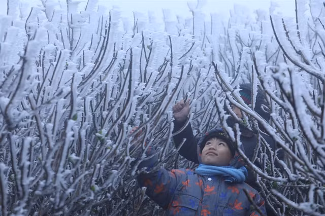 Tourists come to see Mau Son Peak covered in frost and ice on Tuesday. — VNA/VNS Photo