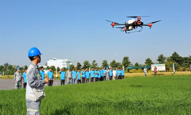 Engineers from Lộc Trời Group JSC demonstrate pesticide spraying on rice fields using drones for farmers to observe firsthand. — VNA/VNS Photo Công Mạo