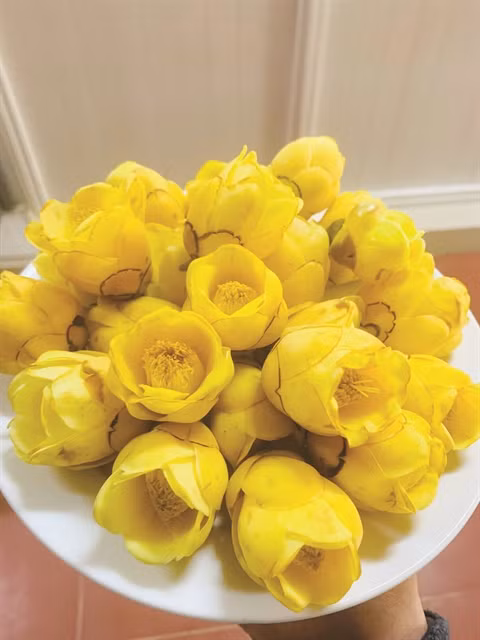 FLOWER POWER: It is believed to be good for people's health. VNS Photo Phạm Duật
