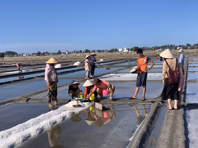 MAKING SALT: Tourists explore salt making with local farmers on the Sa Huỳnh salt fields. Photo courtesy of SAHU