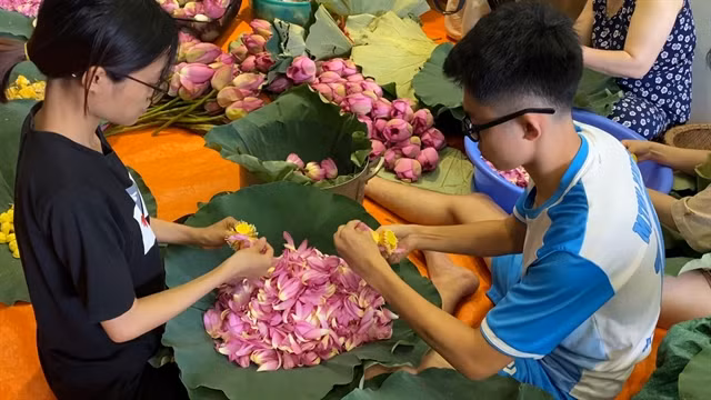 The process uses up all parts of the lotus. VNS Photo Nhật Hồng