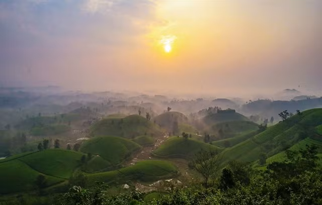 Long Cốc Tea Hill is one of Phú Thọ's famed tourist destinations. Visiting the site is suggested for all marathoners after the Đền Hùng race. — Photo courtesy of organisers