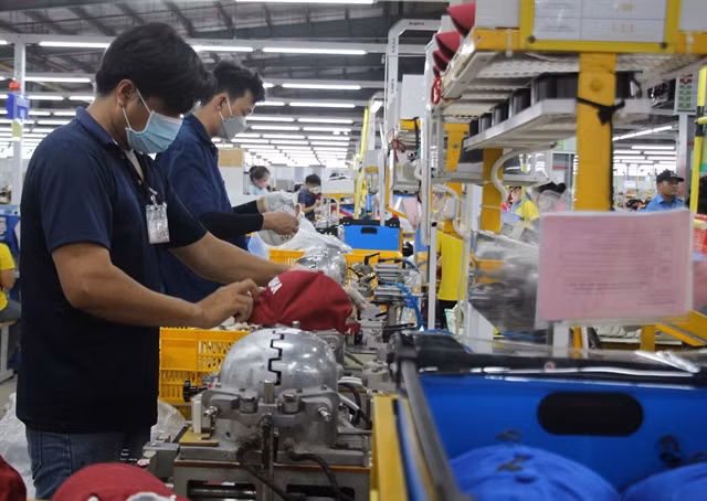 A production line of the South Korea-invested Unipax Vị Thanh Co in Hậu Giang Province. — VNA/VNS Photos