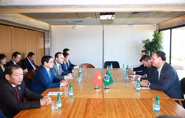 Vietnamese Prime Minister Phạm Minh Chính meets with Carlos Fávaro, Brazilian Minister of Agriculture and Livestock Carlos Fávaro in Rio de Janeiro. — VNA/VNS Photos Dương Giang