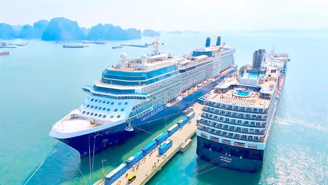 Cruise tourism is considered a “gold mine” for Việt Nam’s tourism industry. — Photo daidoanket.vn