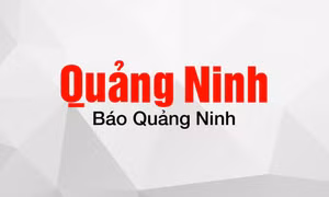 Following the footsteps of Buddha Emperor Tran Nhan Tong to Suoi Tam Pagoda