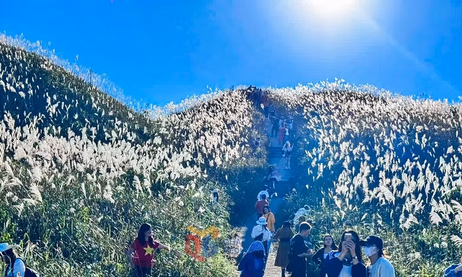Visitors to Binh Lieu at this time of year can hardly resist stopping to take photos and capture memorable moments amid the sea of white reed grass (Photo: Do Giang).