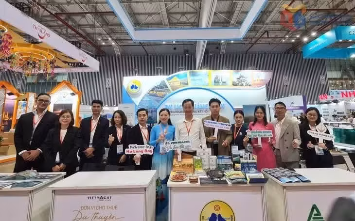 2404901-wtm-155169ba621d1acc85a22981a22de04a.jpg