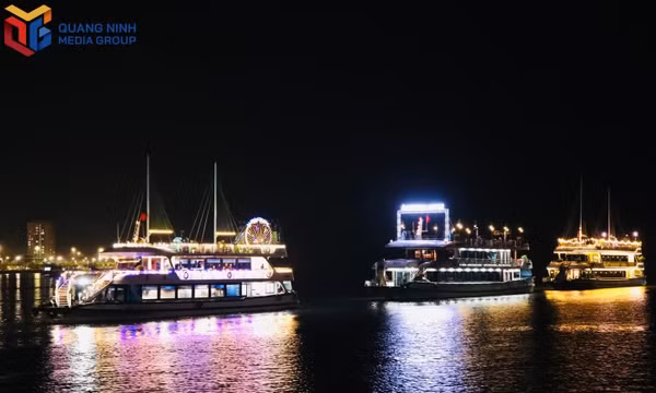 Cruise operators step up efforts to tap international visitor markets