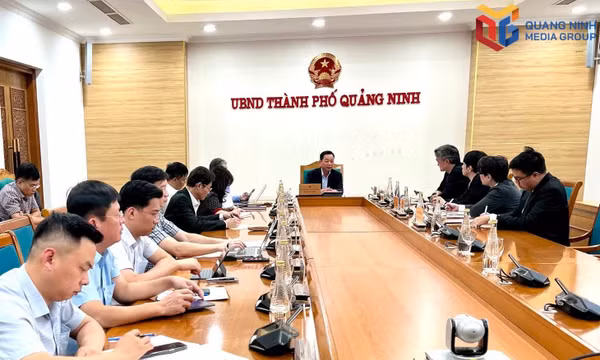 Quang Ninh facilitates Uniqlo’s business expansion