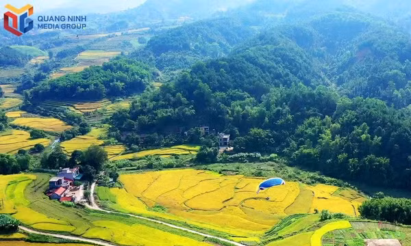 Visit Luc Hon for the golden season at its finest