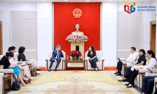 Quang Ninh City leader receives UNESCO representative in Viet Nam