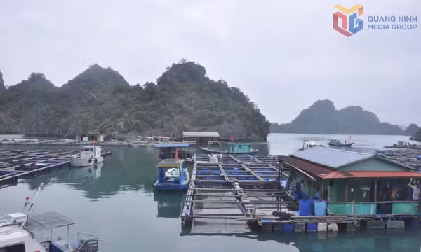  Turning local values into distinctive tourism products
