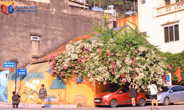 Ha Long Coastal City in Autumn