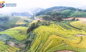The allure of autumn and winter in Quang Ninh