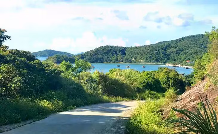 đảo thanh lân du lịch cô tô