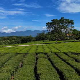 Duong Hoa emerges as a new destination on Quang Ninh’s tourism map