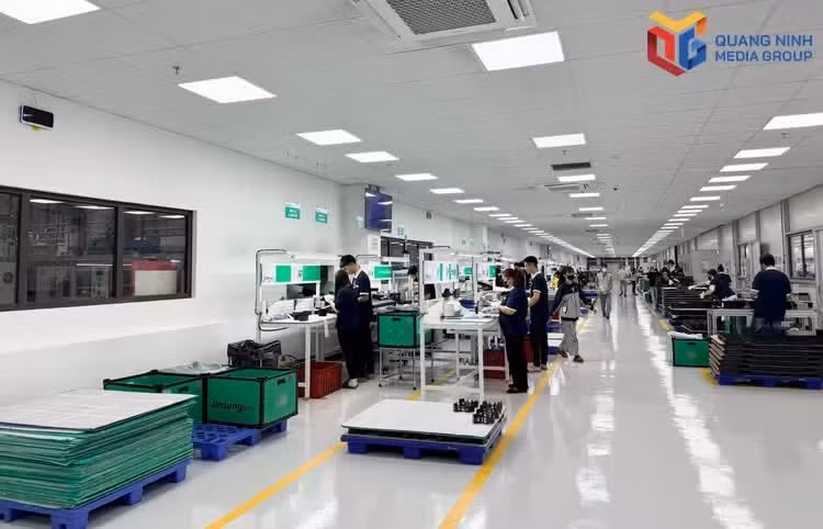 kcn-dong-mai.jpg