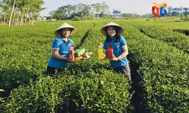An official from the Quang Duc Commune Farmers' Association guides members on livestreaming to sell local tea directly from the lush green tea plantation. Photo: Ngoc Tram