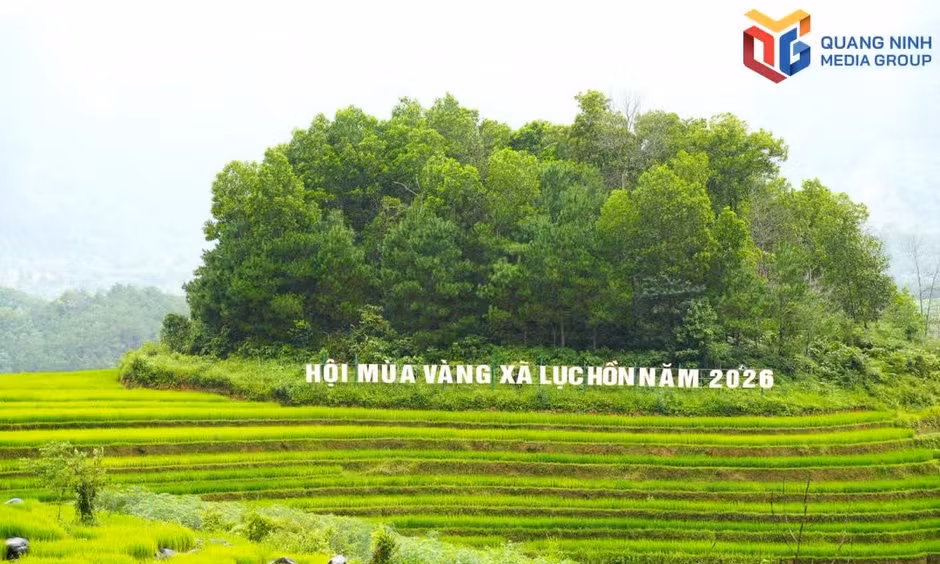 Luc Hon Golden Season Festival promises a vibrant cultural experience 