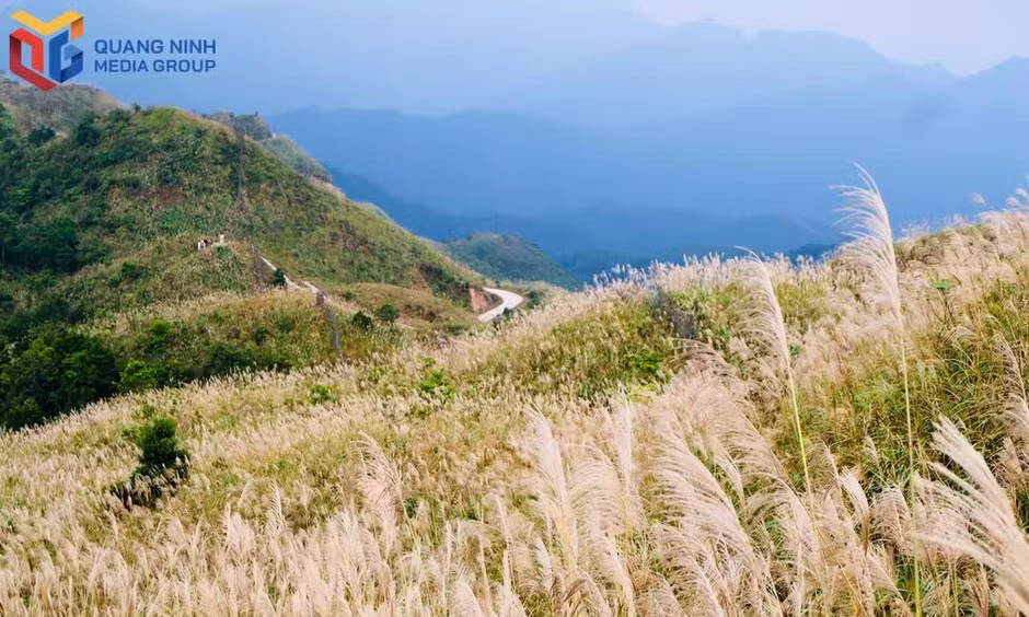 The white reed grass-covered hillsides around Border Marker 1297